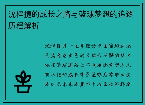 沈梓捷的成长之路与篮球梦想的追逐历程解析