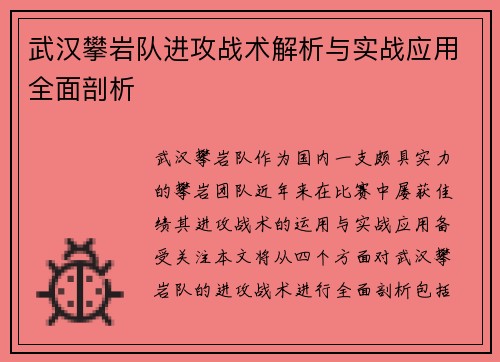武汉攀岩队进攻战术解析与实战应用全面剖析